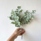 Eucalyptus bouquet