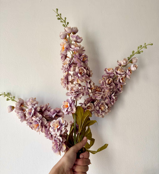 Delphinium