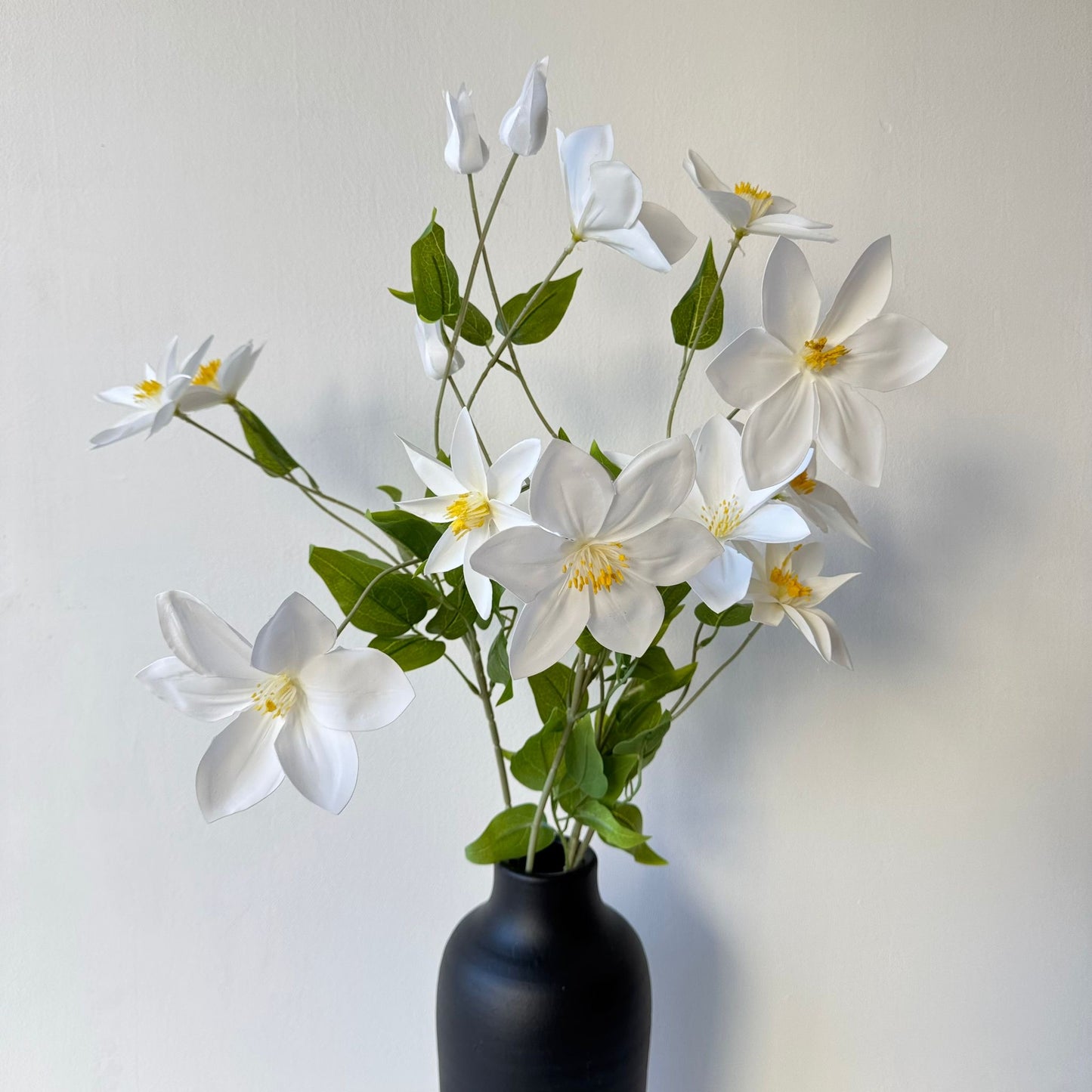 Stringy white spring flower