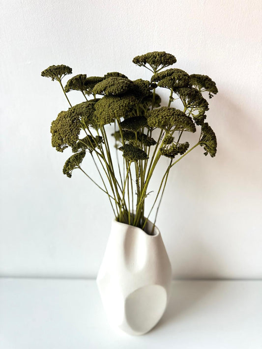 Achillea bouquet - dark green