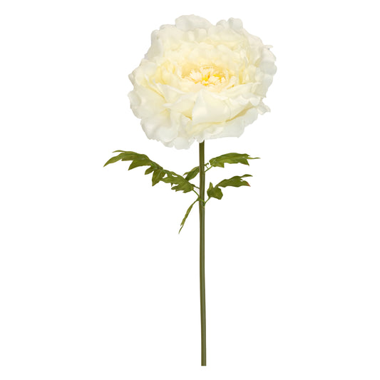 Óriás virág - 130x45 és 150x55cm - krém peonia XL