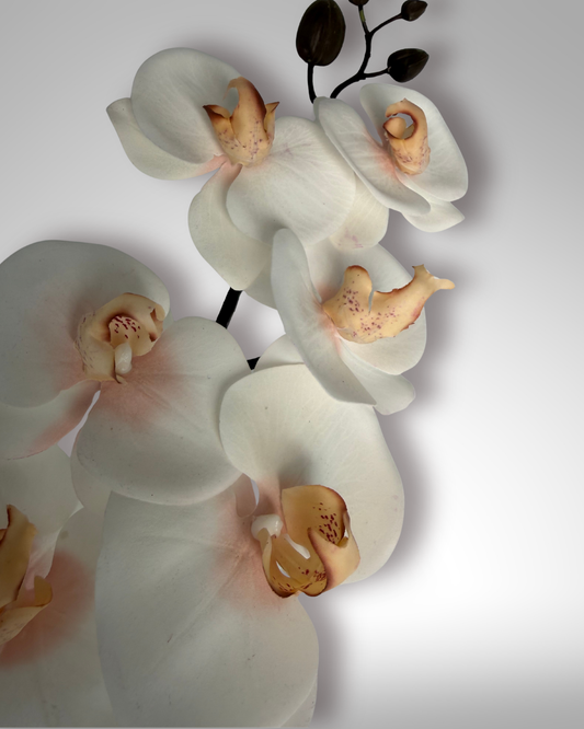 Szuper élethű orchidea