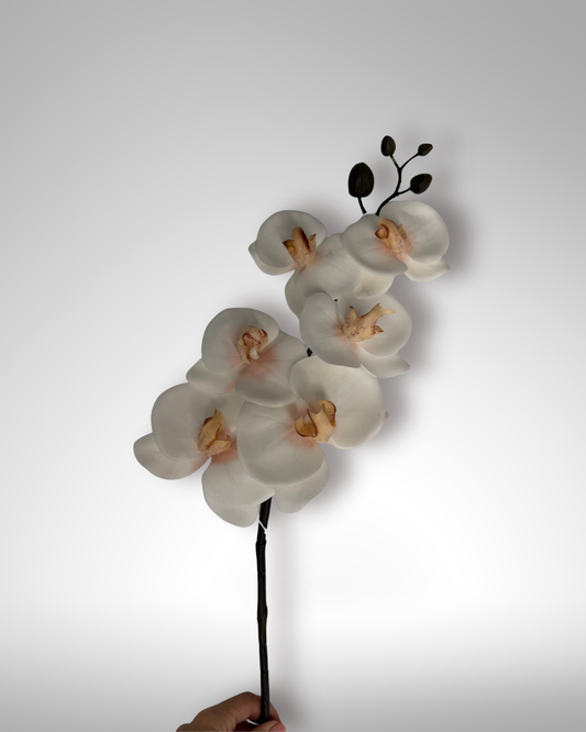 Szuper élethű orchidea