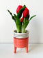 A legélethűbb piros gumi tulipán kaspóban