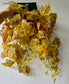 Szőlőleveles futó
