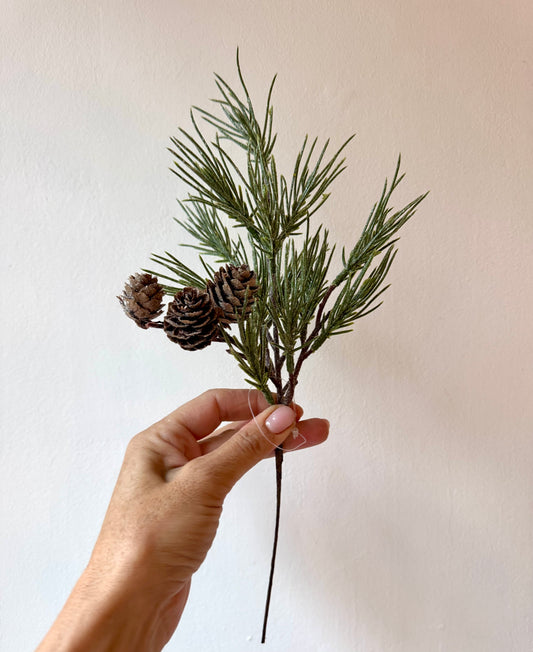 Csillogós fenyőág tobozkákkal