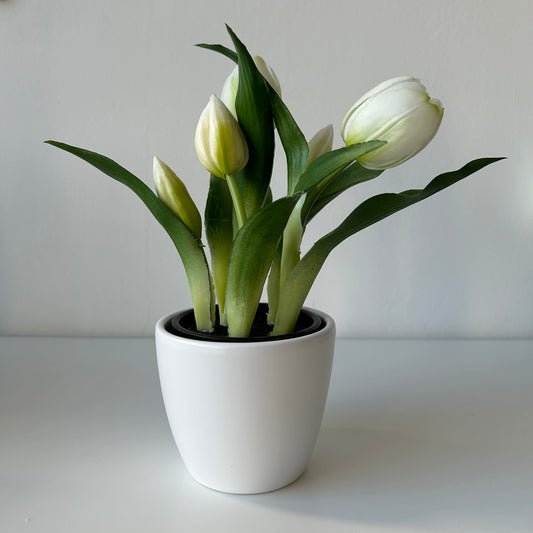 A legélethűbb gumi tulipán kaspóban - fehér