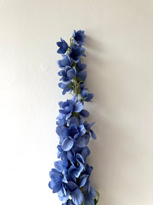 Delphinium