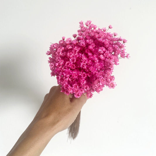 Glixia - pink
