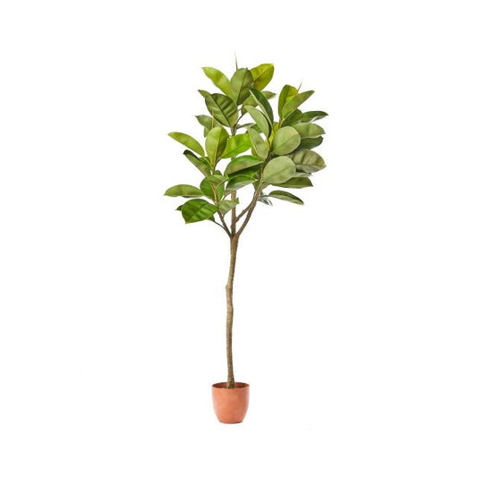 Ficus műnövény 150 cm