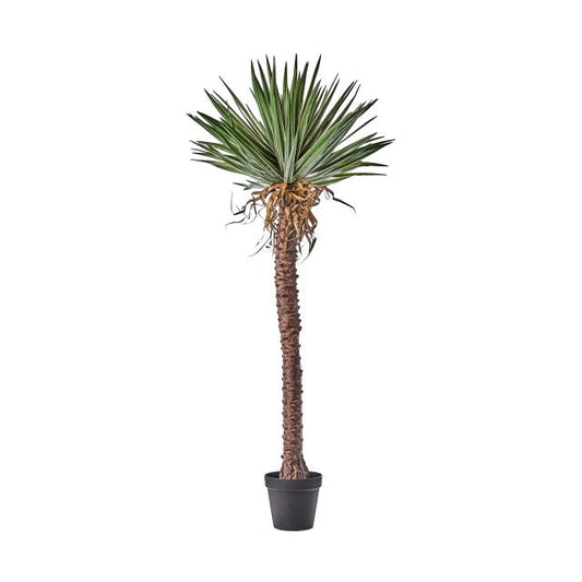 Yucca műnövény 180 cm