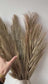 Dried palm leaf