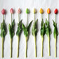 A legélethűbb gumi tulipán bimbó - nagy