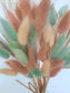 Pastellfarbener Lagurus-Trockenblumenstrauß
