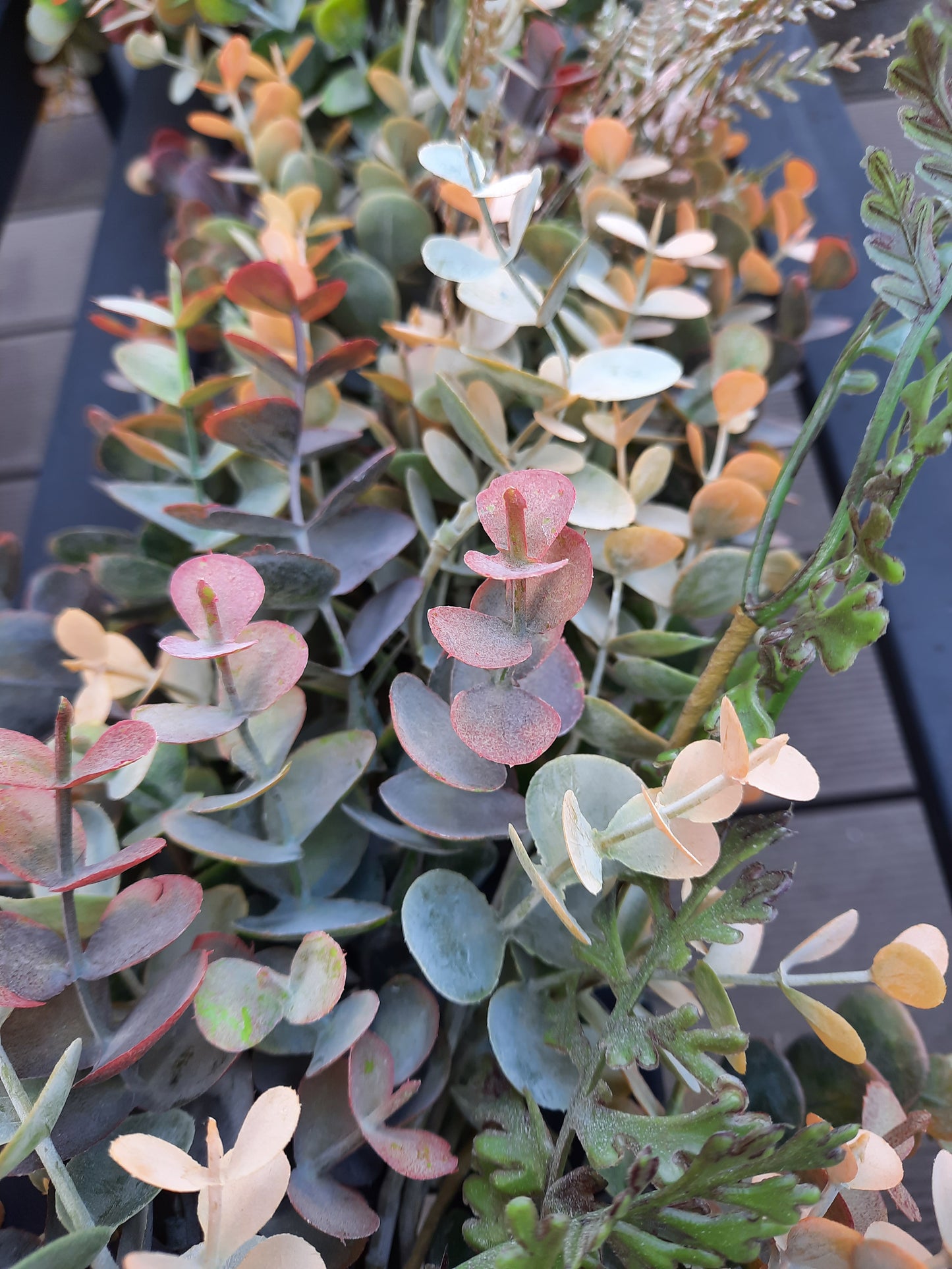 Őszi eukaliptusz girland