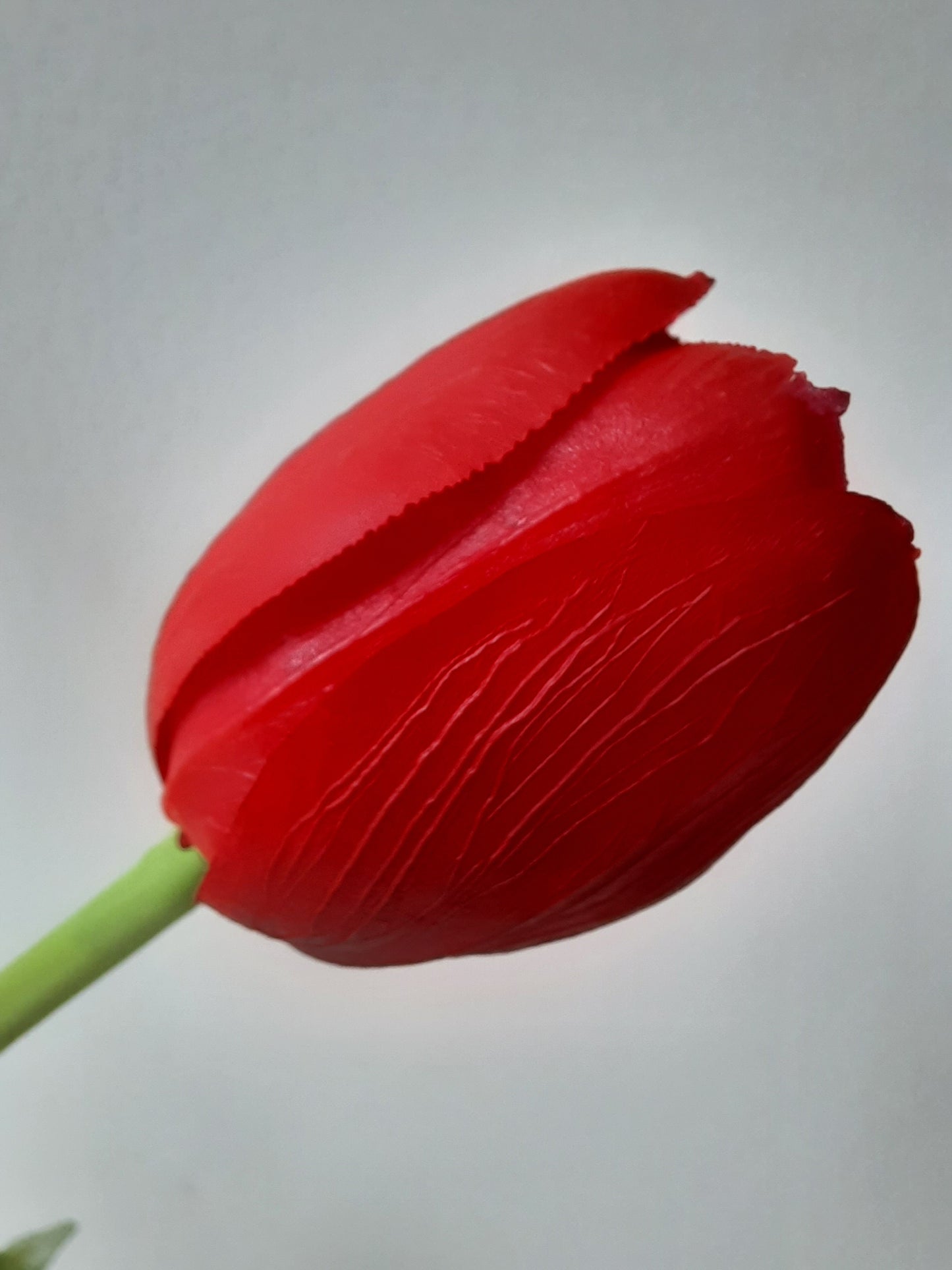 Der naturgetreuste künstliche Blumenstrauß aus roter Gummitulpe