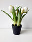 A legélethűbb fehér gumi tulipán kaspóban