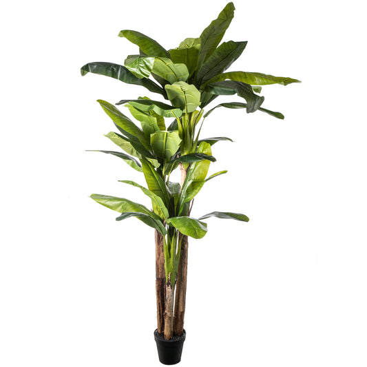 Seidenblume Bananenpalme im Topf 250 cm