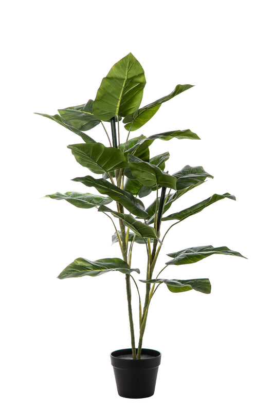 Műnövény banánpálma kaspóban 120 cm