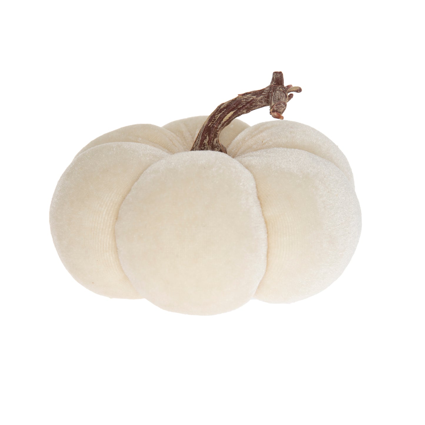 Cream velvet pumpkin 15 x 10 cm