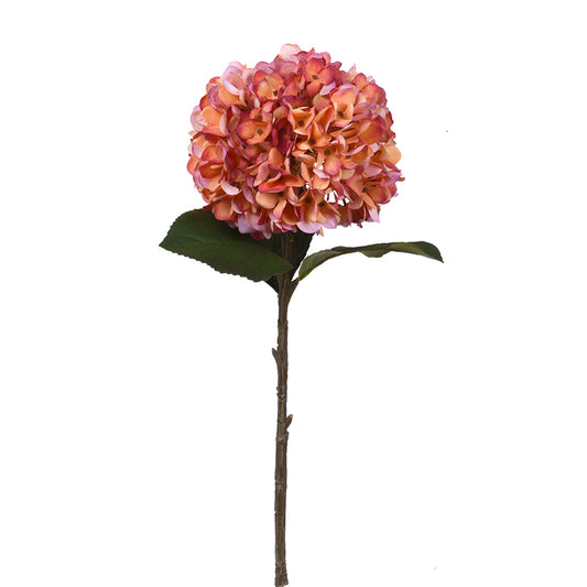 Hortensie Seidenblume 49 cm