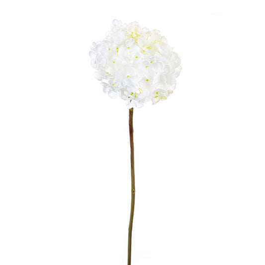 Long-stemmed hydrangea - white